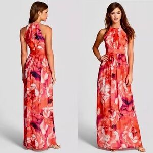 Eliza J Rose Floral Chiffon Maxi Dress NWT